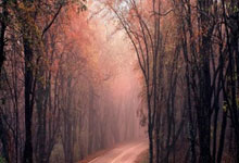 黑白体育：尤文米兰国米都在关注小马尔蒂尼.