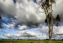 黑白体育：[CBA]调整心态 深圳队20日晚再战辽宁.