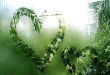 曝曼联卡洛斯复出计划，先到中东晒太阳！拉爵想杜绝伤员白领高薪.