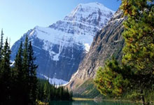 曝曼联卡洛斯复出计划，先到中东晒太阳！拉爵想杜绝伤员白领高薪.