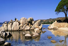 黑白体育：[冰雪]全国残特奥会单板滑雪项目开赛.